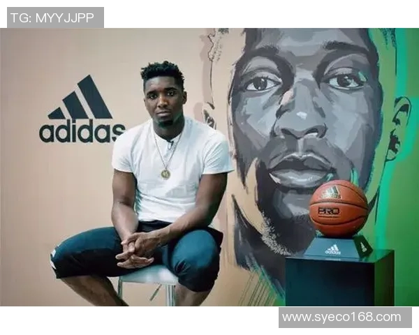 多诺万米切尔：从新秀到全明星的成长之路与未来展望