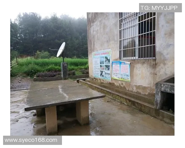 刘铮的奋斗历程与人生哲学探讨：从篮球场到人生舞台的精彩转变